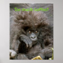 Zoek naar gekke aap posters Primaat