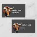Recherche de vaches cartes visite Pays