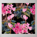 Recherche de cyclamen art Aquarelle