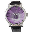 Recherche de marguerite montres Photographie