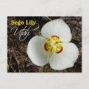 Recherche de mariposa cartes postales Fleur