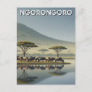Recherche de gnou cartes postales Tanzanie