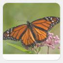 Recherche de habitat autocollants Jardin