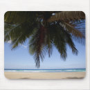 Recherche de mer des caraïbes tapis souris Nature