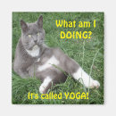 Recherche de yoga magnets Amour