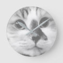Recherche de cat horloges Animal