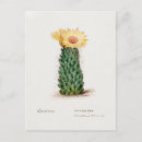 Recherche de ruche cartes postales Vintage