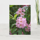 Recherche de général anniversaire cartes Salutation