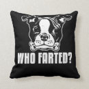 Recherche de bostons coussins Terrier de boston