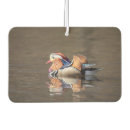 Recherche de canard voiture accessoires Animal