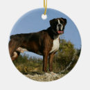 Recherche de exposition canine Chien