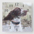 Recherche de adorable horloges Décoration intérieure