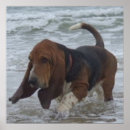 Recherche de animaux mer posters Vacances