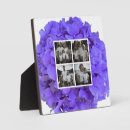 Recherche de lilas plaques Élégant