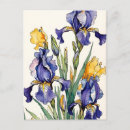 Zoek naar iris bloem Bloei