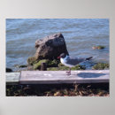 Recherche de de southport Carolina