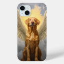 Recherche de pont iphone coques Pont arc en ciel