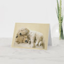 Zoek naar puppies kaarten Retriever