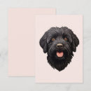 Zoek naar zwarte labradoodle kaarten Hond