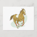 Recherche de cheval course cartes postales Chevaux