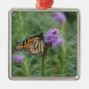 Recherche de papillon de monarque ornements Papillons