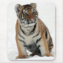 Recherche de tigre électronique Hiver