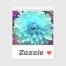 Recherche de fleur dahlia autocollants Bleu