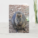 Recherche de marsupiaux vœux cartes Quokka