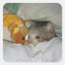 Recherche de twitter autocollants Mème