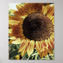 Zoek naar mammoet posters Wild