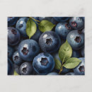 Recherche de myrtilles cartes postales Aquarelle
