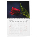 Recherche de flowers calendriers Rose