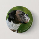 Recherche de chien boxeur badges Profil