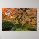 Zoek naar esdoorns posters Tuin