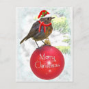Recherche de cambriolage cartes postales Oiseaux