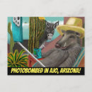 Recherche de cactus drôle cartes postales Nature