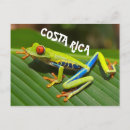 Recherche de grenouille costa rica cartes postales Nature