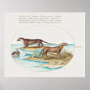 Recherche de otter posters Eau