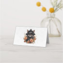 Recherche de halloween placement cartes Magique