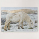 Recherche de de poney puzzles Cheval
