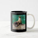 Recherche de otaries tasses Photographie