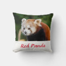 Recherche de pandas coussins Mignon
