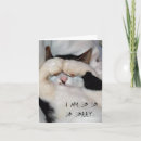 Zoek naar droevige kat kaarten Gekke