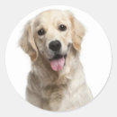 Recherche de repérage autocollants Chiots