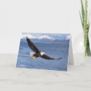 Zoek naar roofvogels kaarten Arend
