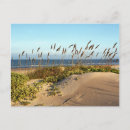 Recherche de avoine cartes postales Dunes