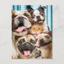 Recherche de chiens et chats invitations Drôle