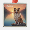 Recherche de colley ornements Canin