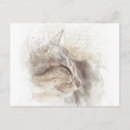 Recherche de dessin chat crayon cartes postales Animal