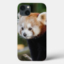 Recherche de jeune animal iphone coques Mignon